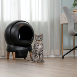 PetSafe® ScoopFree SmartSpin™ Black automatizirano mačje stranišče